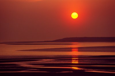 Orange Sunset
