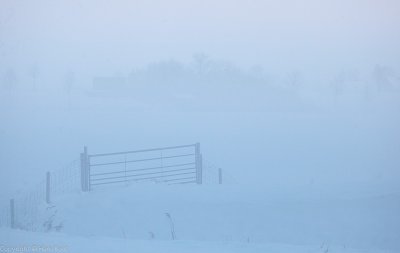 Fog on Snow