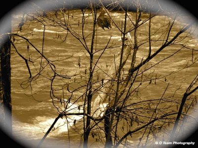 River Scene