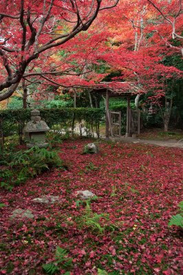 Enri-An at Kyoto