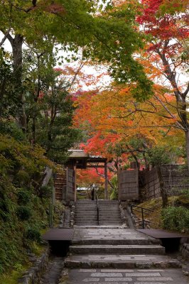 Adashino Nonbutsu-Ji Temple