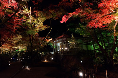 Hogon-in Temple