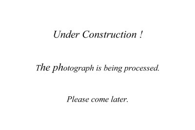 Message