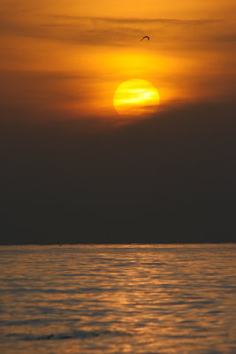g1/04/961204/3/128445570.74NORrMn.jpg