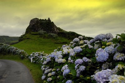 Rocha-Ilha das Flores.jpg