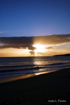 g1/04/969904/3/131352184.Zk4rn16h.jpg