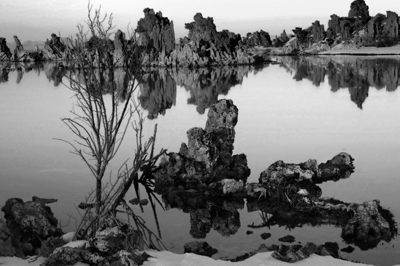 Still Water Reflections BW