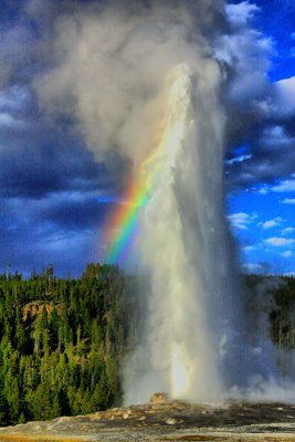 Old Faithful showing her colors