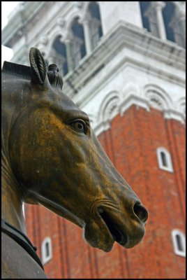 San Marco Horse