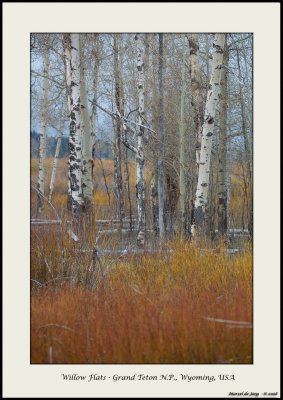 Grand Teton National Park