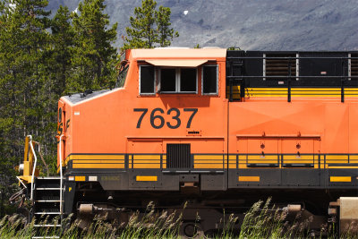 BNSF Locomotive 7637.