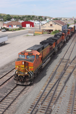 BNSF Grain Train. Shelby, MT.
