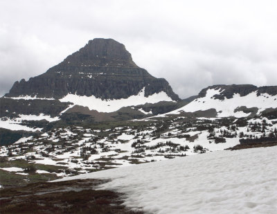 Logan Pass.