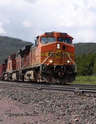 BNSF Grain Train.