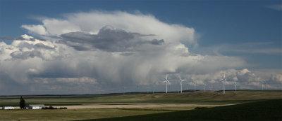 Montana Roadside.