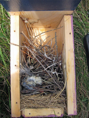 Bluebird Nest Boxes