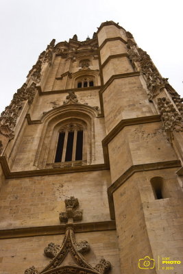 IMG_2747 copia.jpg