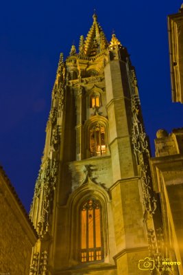 IMG_2840 copia.jpg