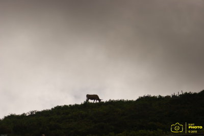 IMG_3047 copia.jpg