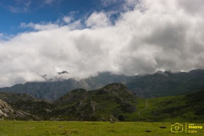 IMG_3074 copia.jpg