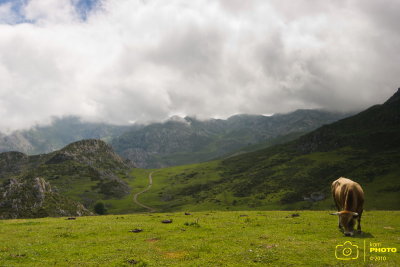 IMG_3075 copia.jpg
