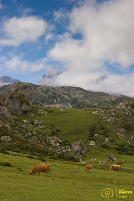 IMG_3081 copia.jpg