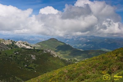 IMG_3117 copia.jpg