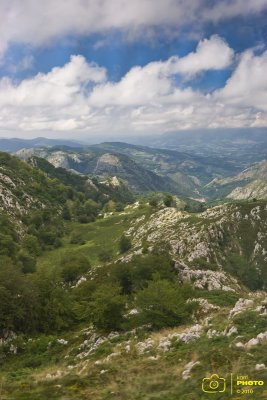 IMG_3143 copia.jpg