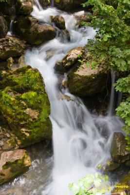 IMG_3146 copia.jpg