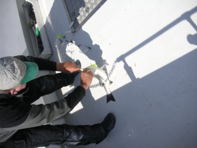 PICT0121.JPG