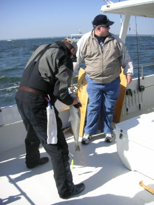 PICT0125.JPG