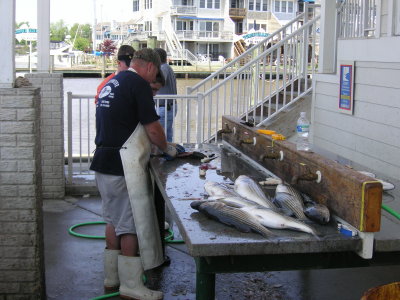 PICT0133.JPG