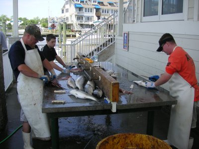PICT0134.JPG