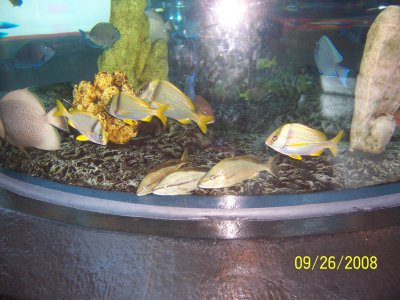 100_2332.jpg