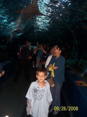 g1/05/281105/3/104470038.oFIUACSd.jpg