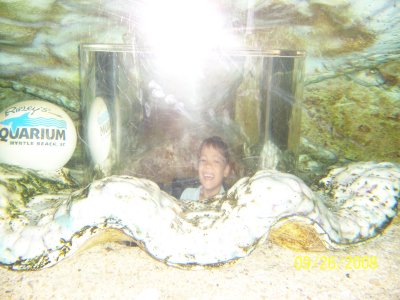 100_2342.jpg