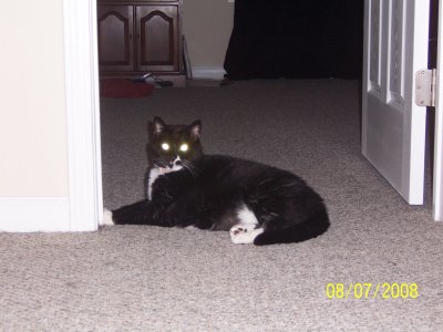 100_2201.jpg