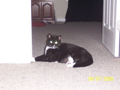 100_2202.jpg