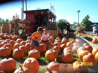 100_2382.jpg