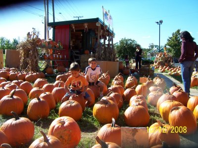 100_2383.jpg