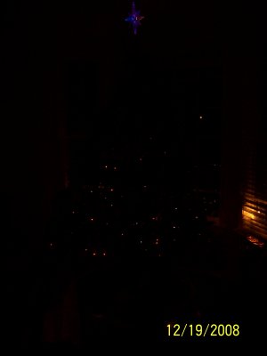 100_2432.jpg