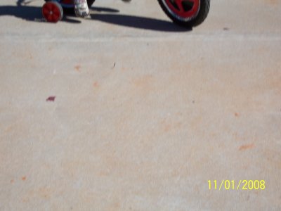 100_2400.jpg
