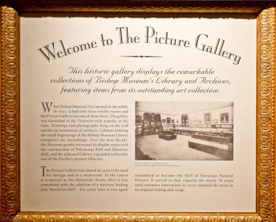 n8703 History of the Picture Gallery
