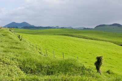 N2177 Route 250: Rolling Hills of Kohala