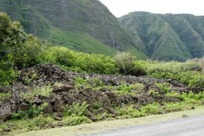 C0481 Hawaiian Heiau