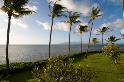 C0050 Lanai visible to the right