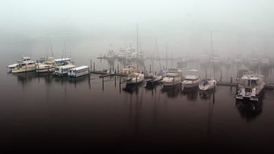 JAX in Fog 07