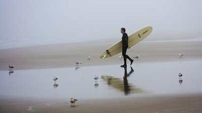 Contemplating the Fog