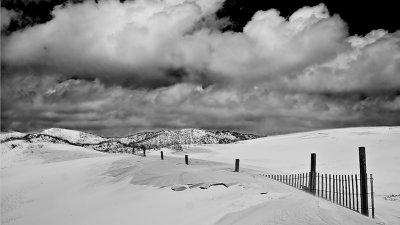 Buried Fence