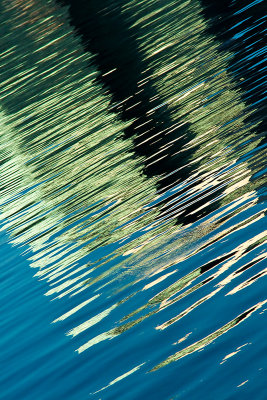 St. Johns River Abstraction #2